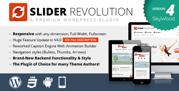 largepreview_2013_wordpress[1]